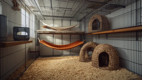 Ruime frettenkooi met hangmat en schuilplek, veilig ingericht voor fretten met plateaus en zachte slaapplaatsen.