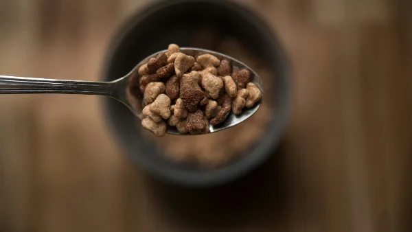 verschillende soorten hondenvoer naast elkaar voor vergelijking