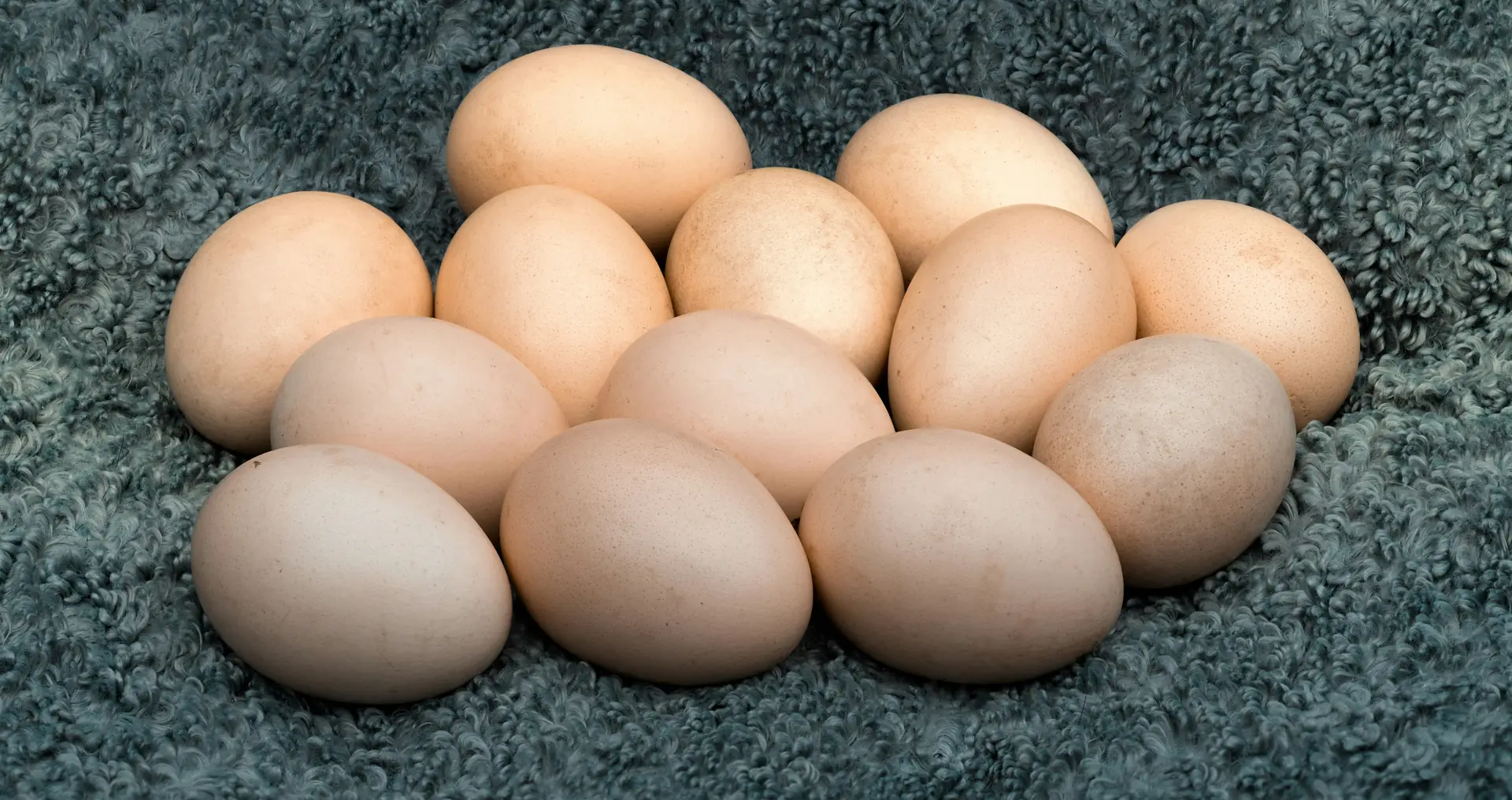 Biologische eieren in verschillende natuurlijke kleuren op zachte blauwe stof.