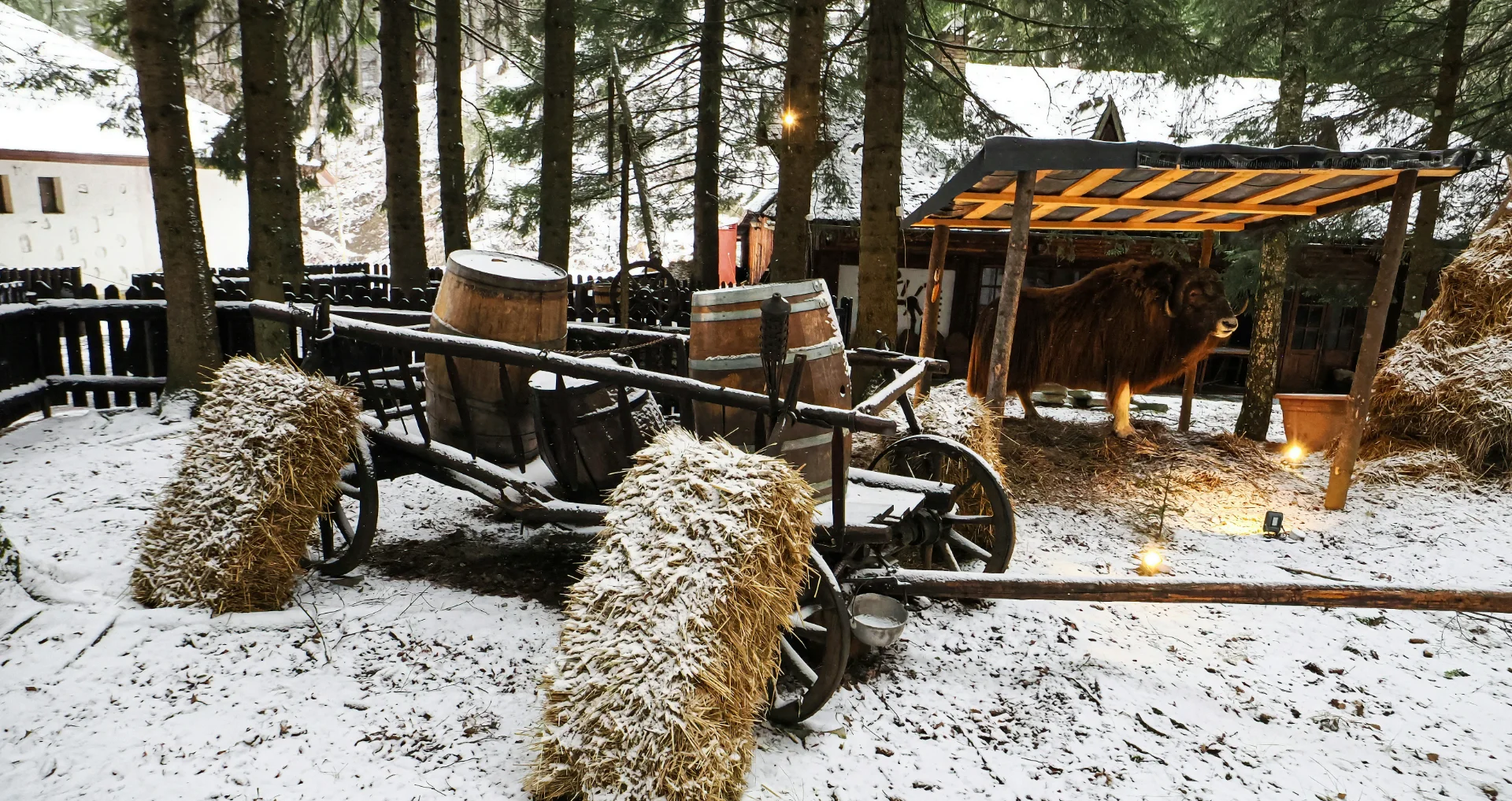 Hooiwagen met hooibalen in sneeuwbos voor diervoeding winter.