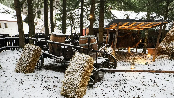 Hooiwagen met hooibalen in sneeuwbos voor diervoeding winter.