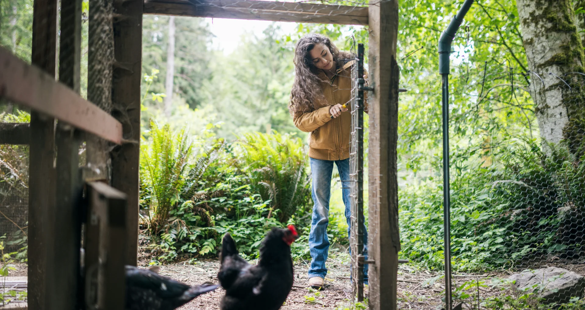 Houten kippenhok met ren in een tuin