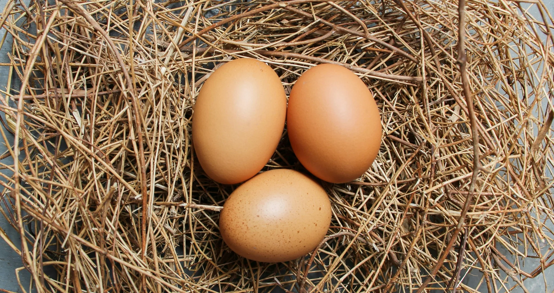 Bruin ei in bruin nest, voedselkwaliteit en houdbaarheid concept