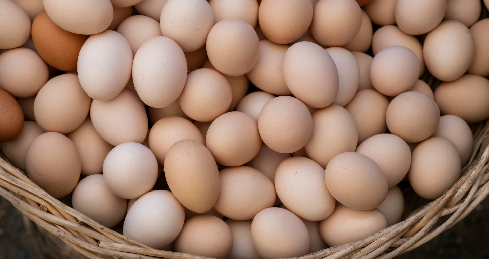 Kleine verse kippen-eieren in een rieten mand